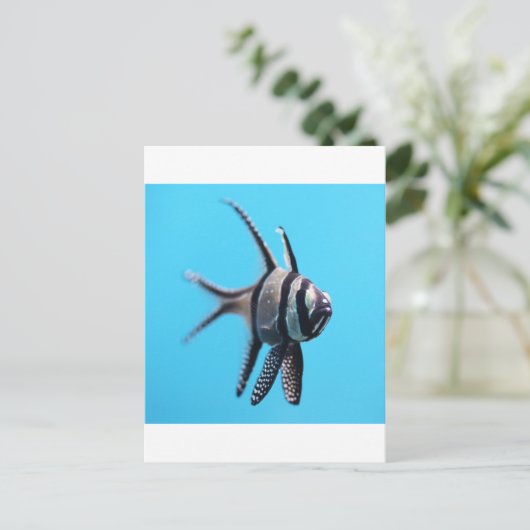 Fisch Postkarte (Stehend Vorderseite)