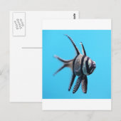 Fisch Postkarte (Vorne/Hinten)