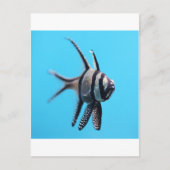 Fisch Postkarte (Vorderseite)