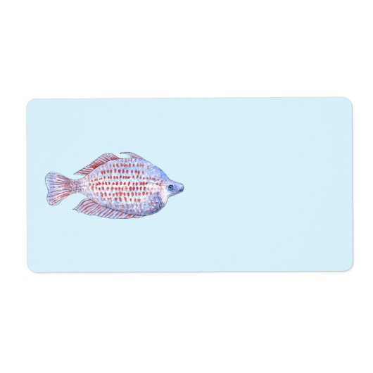 Fisch. Red Line Rainbowfish. (Vorne)