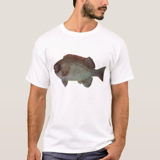 Fisch - Rock Blackfish - Girella levata T-Shirt