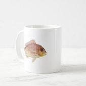 Fisch - Rotbrasse - Chryosophrys guttuatus Promo Kaffeetasse (Vorderseite Links)