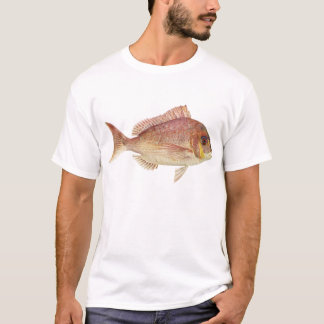 Fisch - Rotbrasse - Chryosophrys guttuatus T-Shirt
