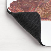 Fisch - Roter Rock Cod - Scorpaena cardinalis Mousepad (Ecke)