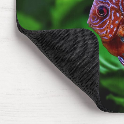 Fisch, Schale, Wasser Mousepad (Ecke)