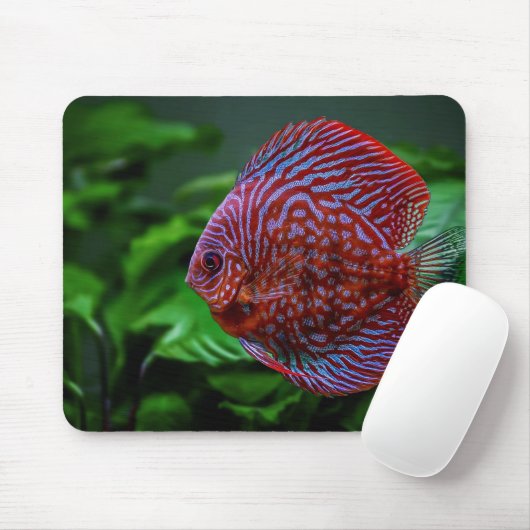 Fisch, Schale, Wasser Mousepad (Mit Mouse)