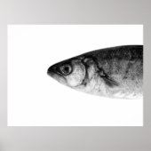 Fisch, schöne Kunst Poster (Vorne)