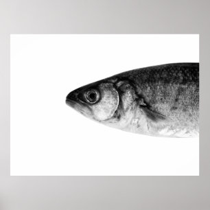 Fisch, schöne Kunst Poster