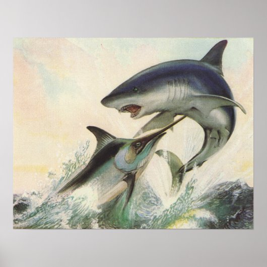 Fisch - Schwarzer Marlin und Mako Shark Poster (Vorne)