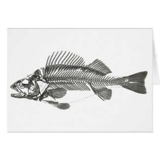 Fisch-Skelett