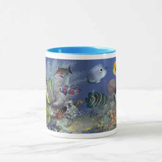 Fisch-Tasse 01 Tasse (Zentrum)