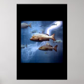 Fisch und Blitz Poster (Vorne)