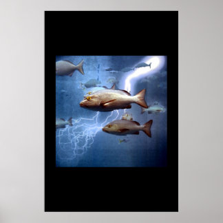 Fisch und Blitz Poster
