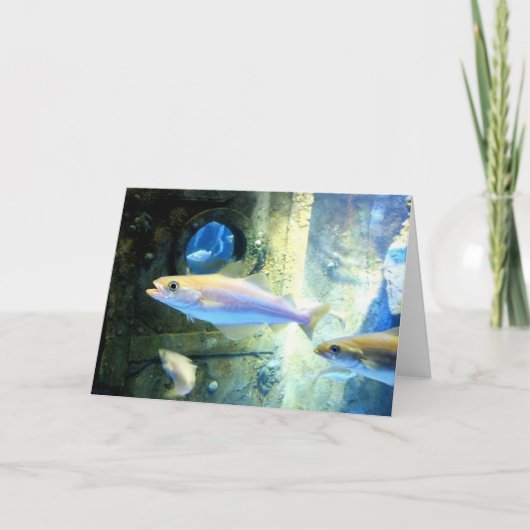 Fisch und Bulle Feiertagskarte (Vorderseite)