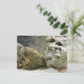 Fisch und Garnelen Postkarte (Stehend Vorderseite)