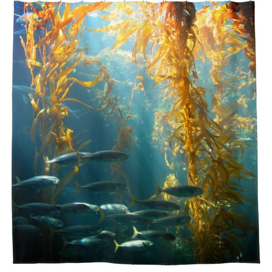 Fisch und Kelp Duschvorhang (Vorderseite)