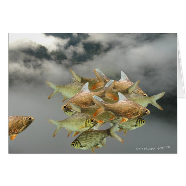 Fisch- und Nebelkarte (Vorderseite (Horizontal))