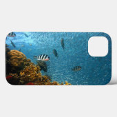 Fisch, Unterwasser, Korallen Case-Mate iPhone Hülle (Rückseite (Horizontal))