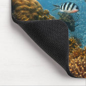 Fisch, Unterwasser, Korallen Mousepad (Ecke)