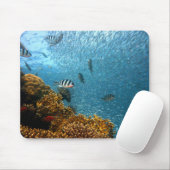 Fisch, Unterwasser, Korallen Mousepad (Mit Mouse)