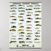 Fisch Vintag Repro. Drucken Poster (Vorne)