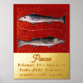 Fisch Zodiac-Geburt Party Foliendrucke (Vorderseite)