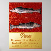 Fisch Zodiac-Geburt Party Foliendrucke (Vorderseite)