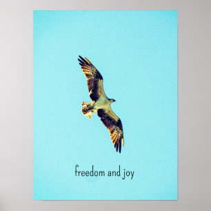 Fischadler. Freiheit und Freude Poster
