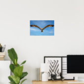 Fischadler im Flug Wandkunst | Raubvogel Poster (Heimbüro)