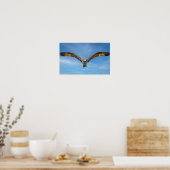 Fischadler im Flug Wandkunst | Raubvogel Poster (Küche)