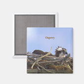 Fischadler-Vogel-Foto-Magnet Magnet (Vorderseite/Rückseite)