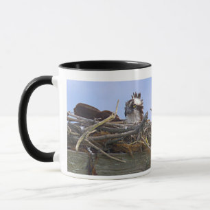 Fischadler-Vogel-Foto-Tasse Tasse