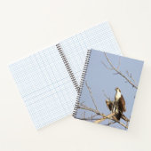Fischadler Vogel Notizbuch (Innenseite)