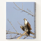 Fischadler Vogel Notizbuch (Rückseite)