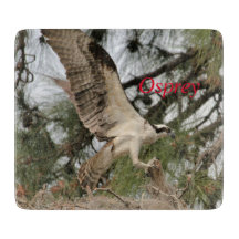Fischadler-Wildlife-Glas-Schneidbrett