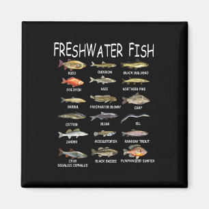Fischarten Biologie Arten von Süßwasserfischen Fis Magnet
