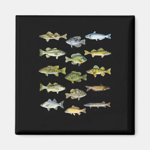 Fischarten Biologie Arten von Süßwasserfischen Fis Magnet