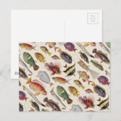 Fischarten Postkarte (Vorne/Hinten)