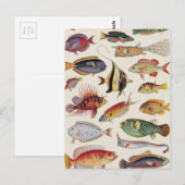 Fischarten Postkarte (Vorne/Hinten)