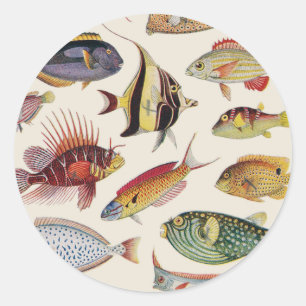 Fischarten Runder Aufkleber