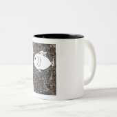 Fischartig Zweifarbige Tasse (VorderseiteRechts)