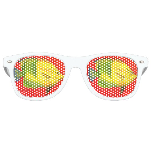 Fischaugen Sonnenbrille (Vorderseite)