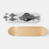 Fischbein Skateboard (Horizontal)