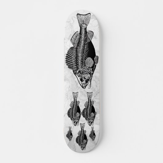 Fischbein Skateboard (Vorne)