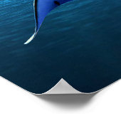 Fischbild für Plakate (Ecke)