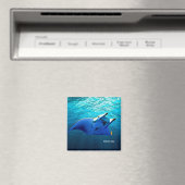 Fischbild für Square-Magnet Magnet (In Situ (Geschirrspüler))