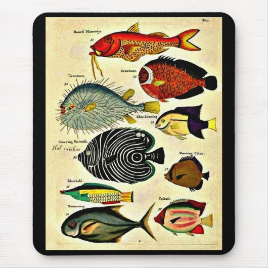 Fischdruck Mousepad (Vorne)