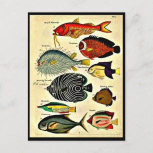 Fischdruck Postkarte