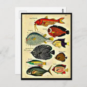 Fischdruck Postkarte (Vorne/Hinten)