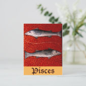 Fische2 Postkarte (Stehend Vorderseite)